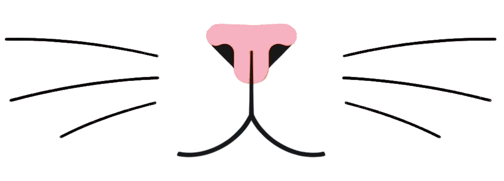 kocimnosem.pl - logo